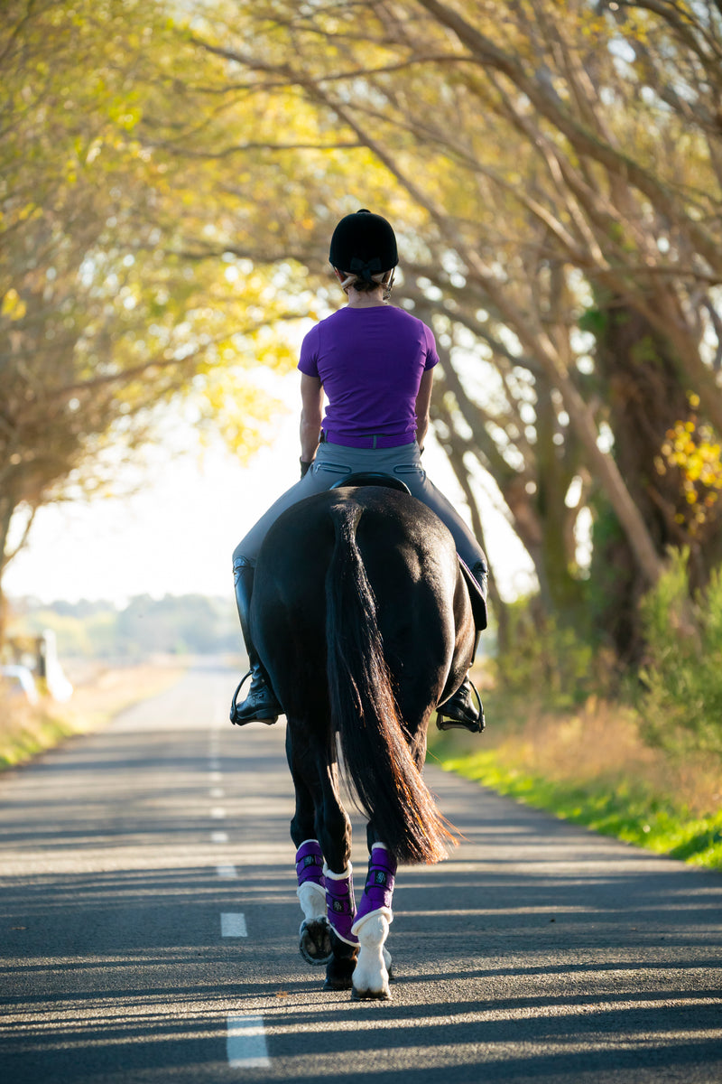 Tops and Breeches – Punk Ponies