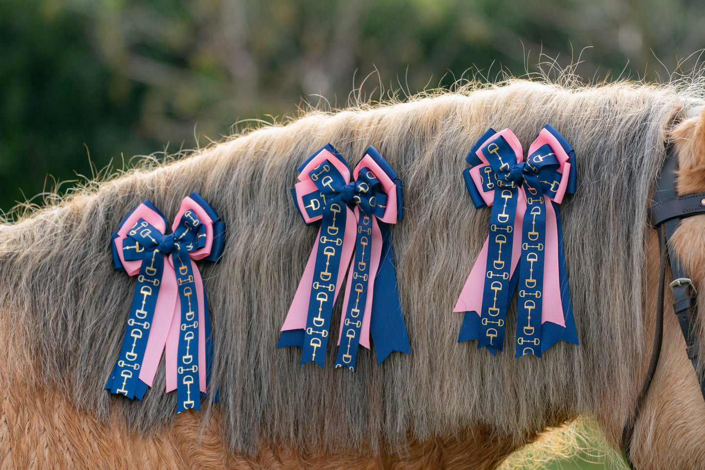 Equestrian Bows
