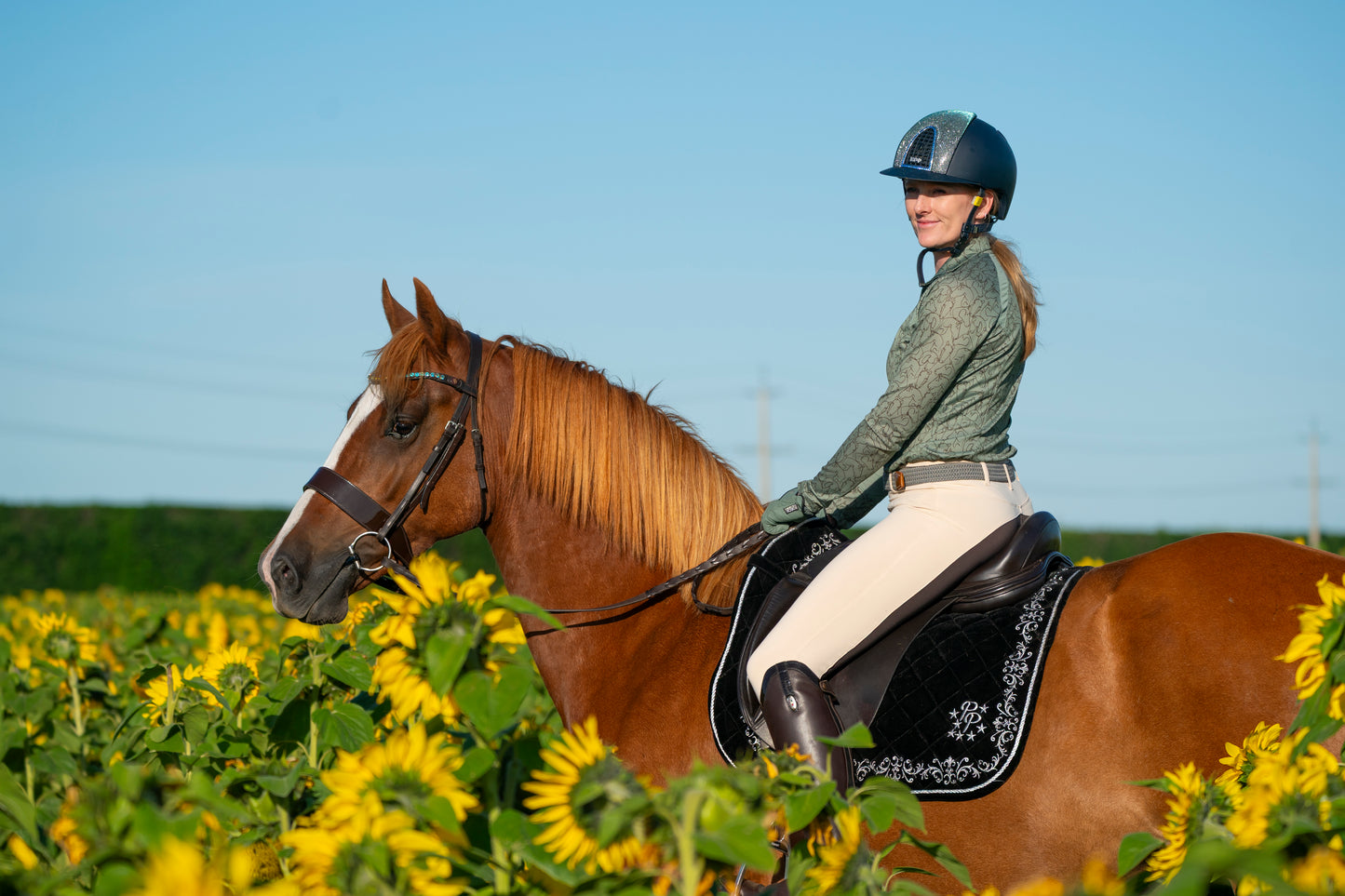 Black & Silver Velvet Baroque Saddle Pads - GP, Jump, and Dressage Cuts