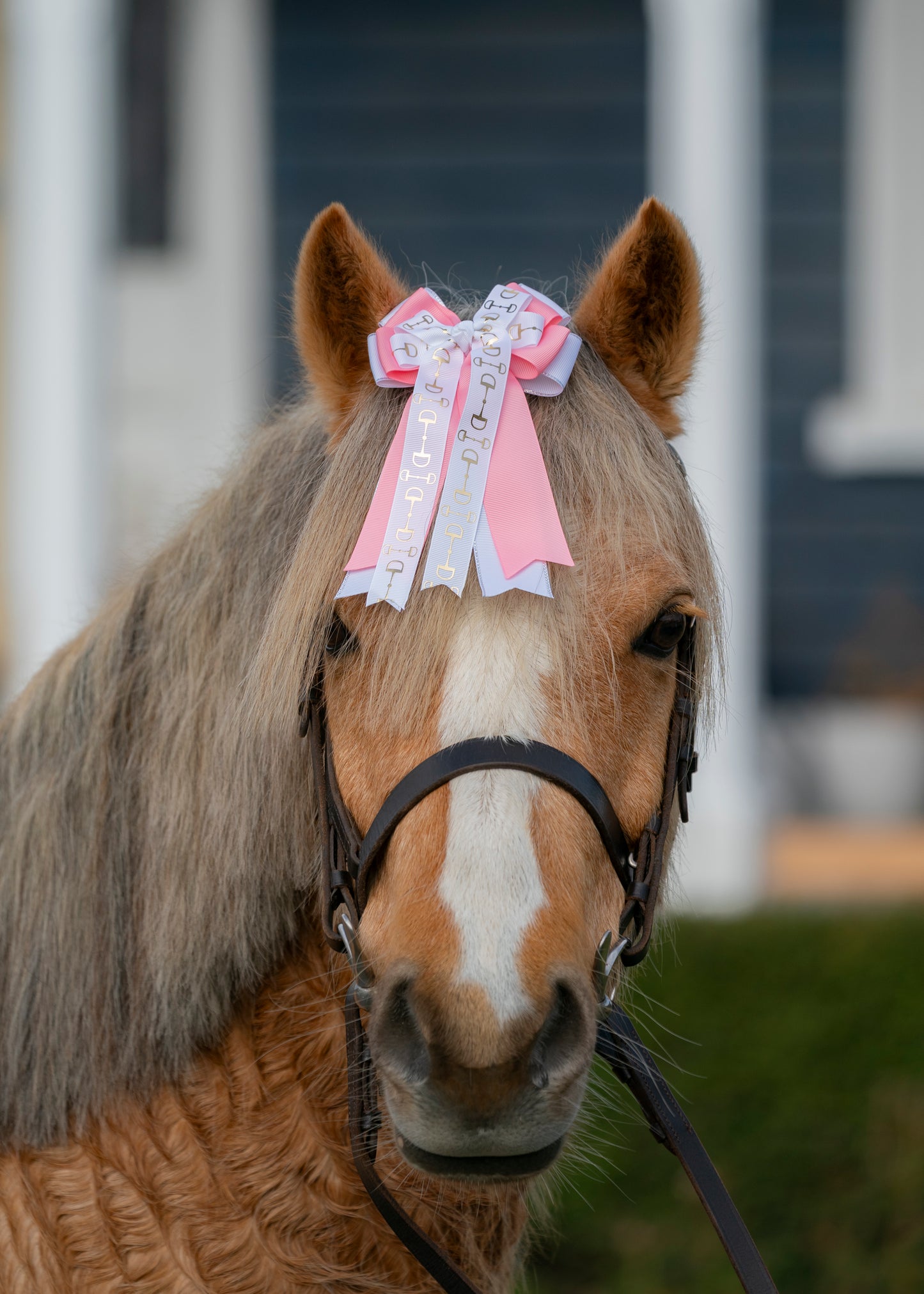 Equestrian Bows