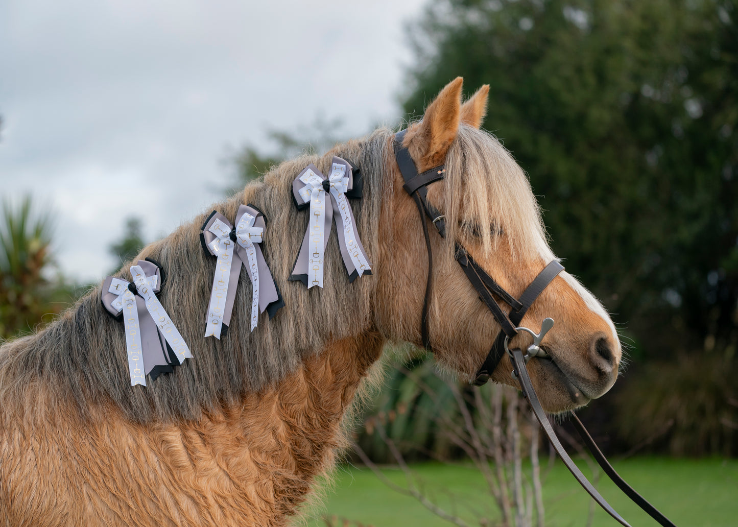 Equestrian Bows