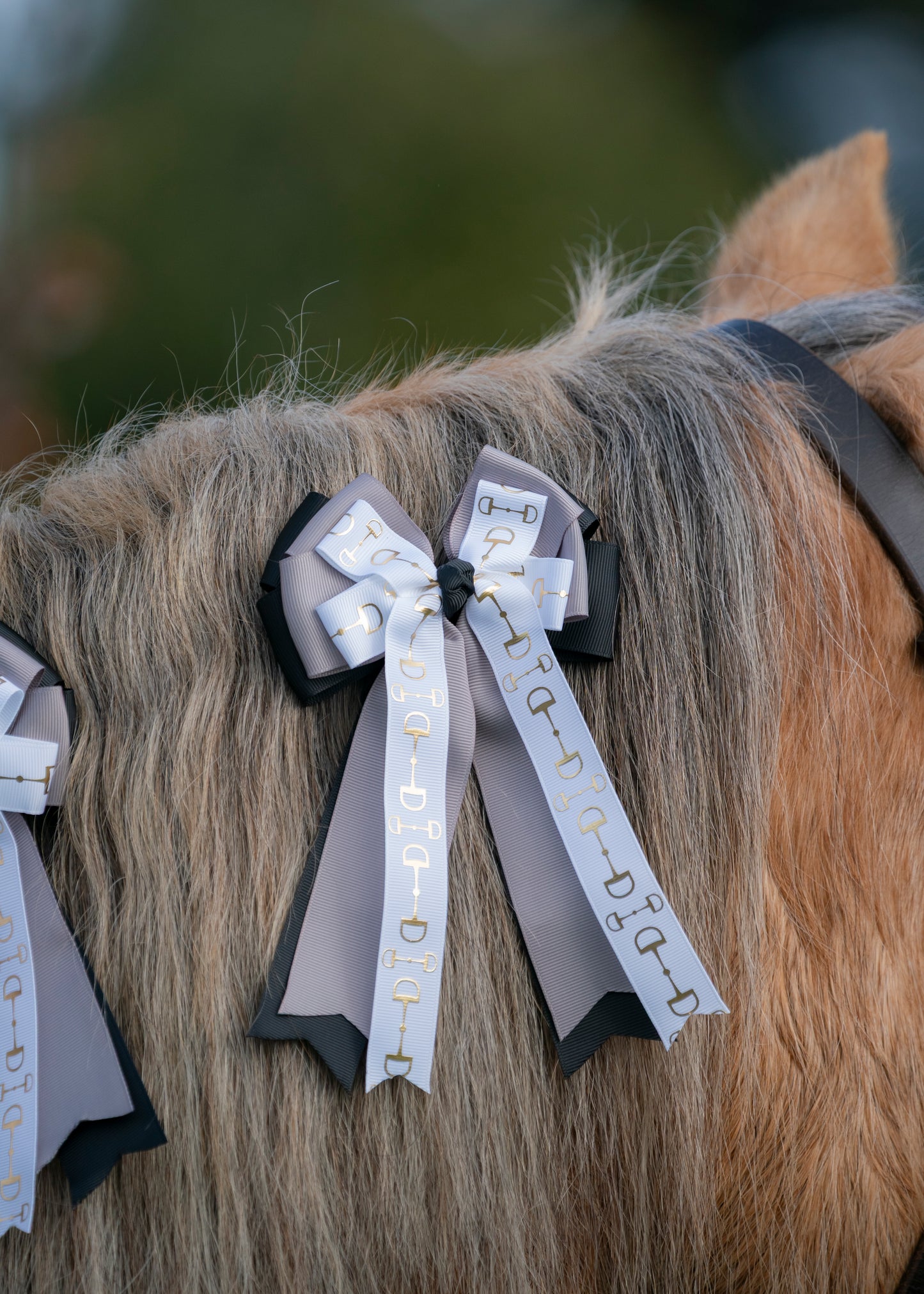 Equestrian Bows