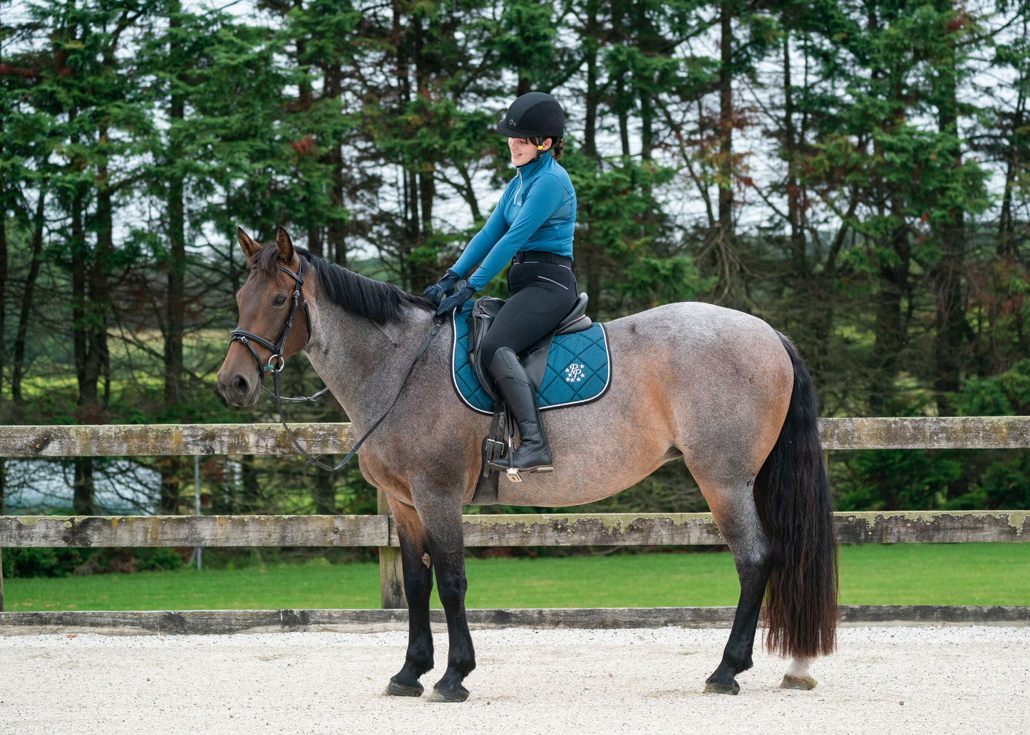 Teal Glitter Dressage Saddle Pad