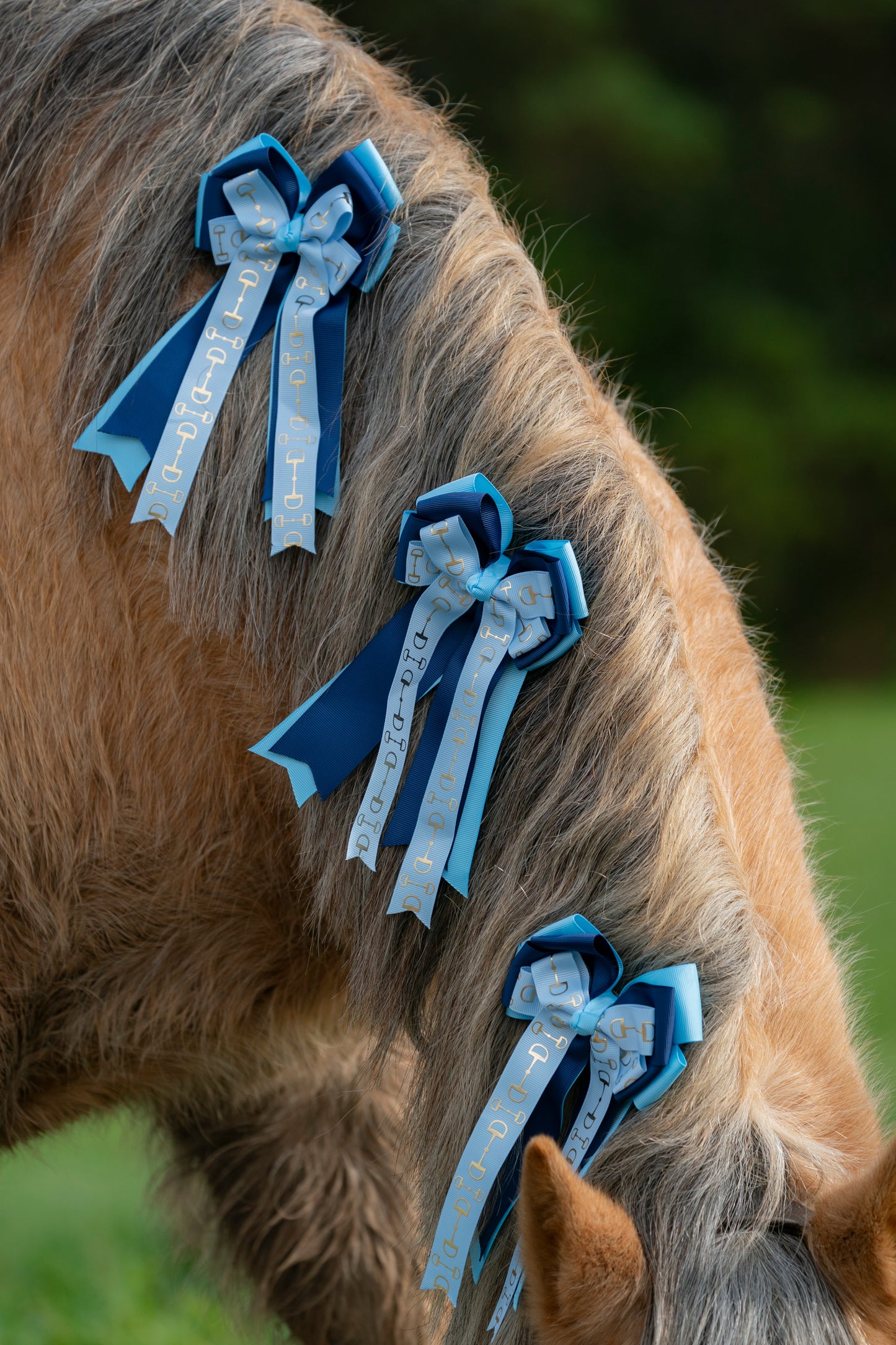 Equestrian Bows