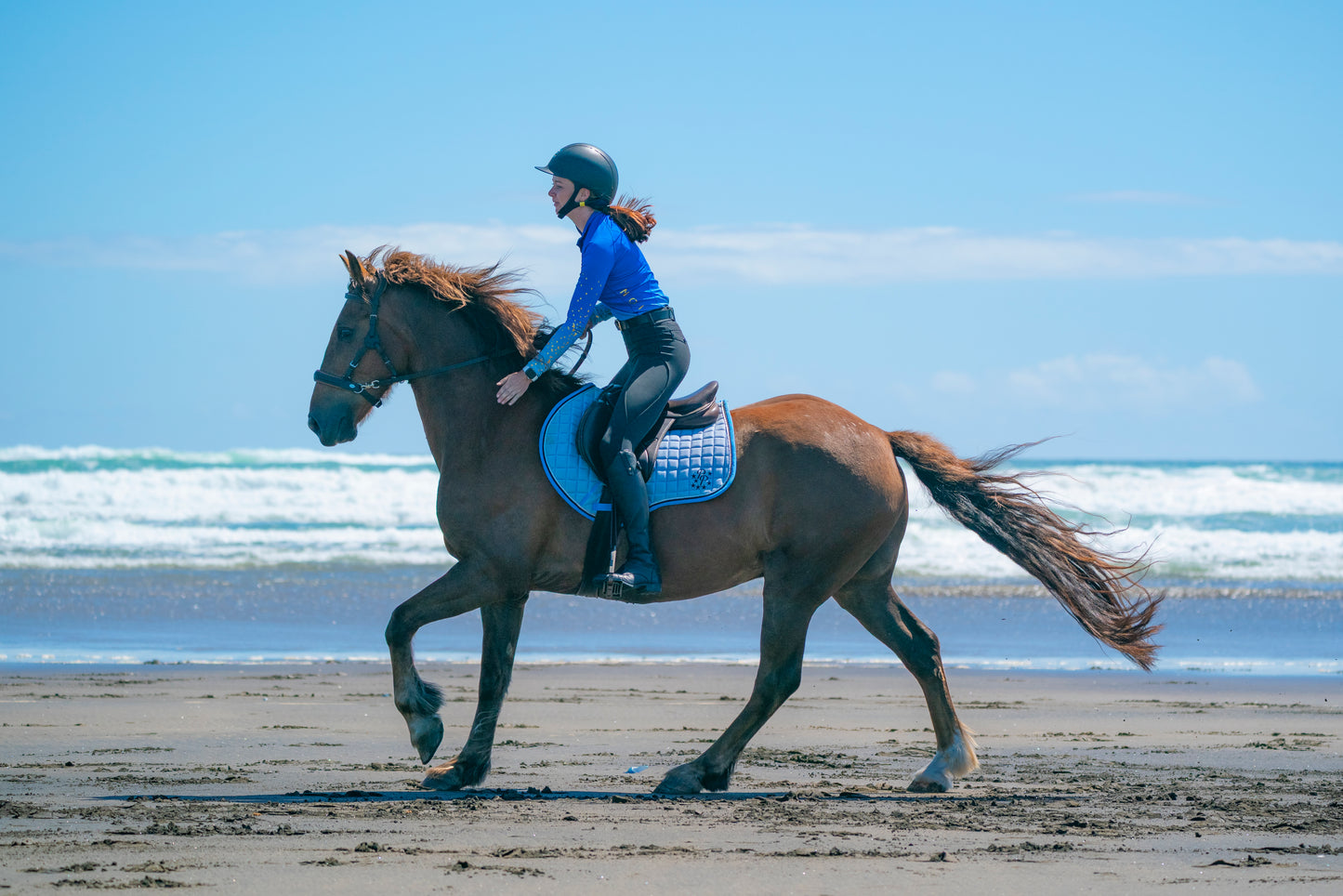 Cornflower/Baby Blue Saddle Pads - Jump, GP, and Dressage cuts