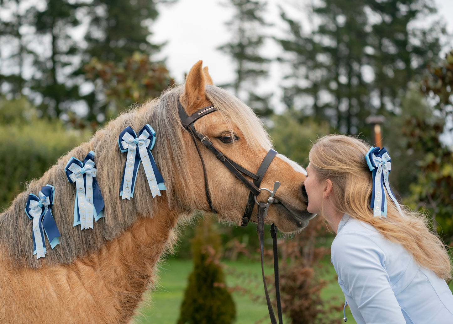 Equestrian Bows