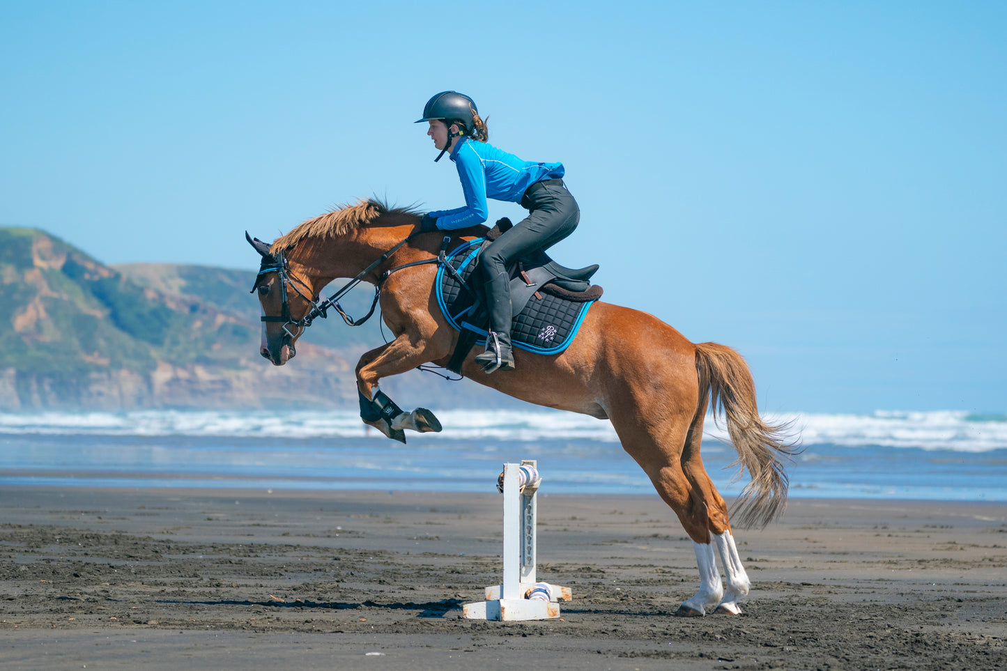 Black/Turquoise Saddle Pads - Jump, GP, and Dressage cuts