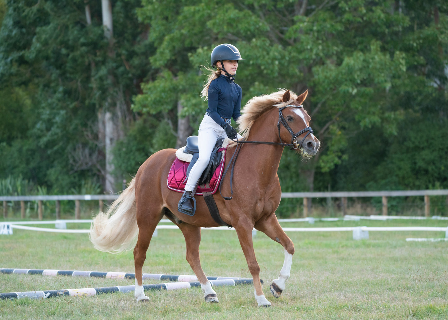 Burgundy Satin Saddle Pads - Jump, GP, and Dressage cuts