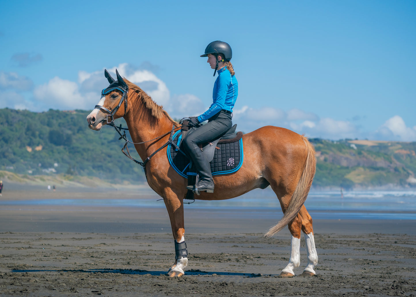 Black/Turquoise Saddle Pads - Jump, GP, and Dressage cuts