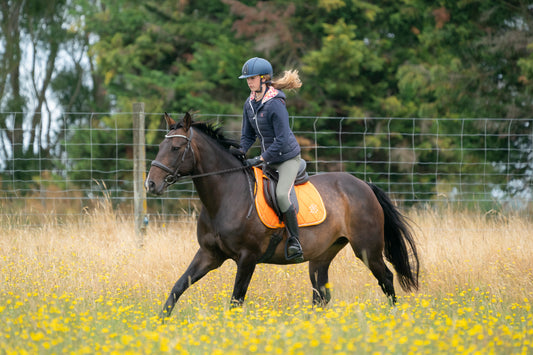 Sunset Orange Saddle Pads - Jump, GP, and Dressage cuts