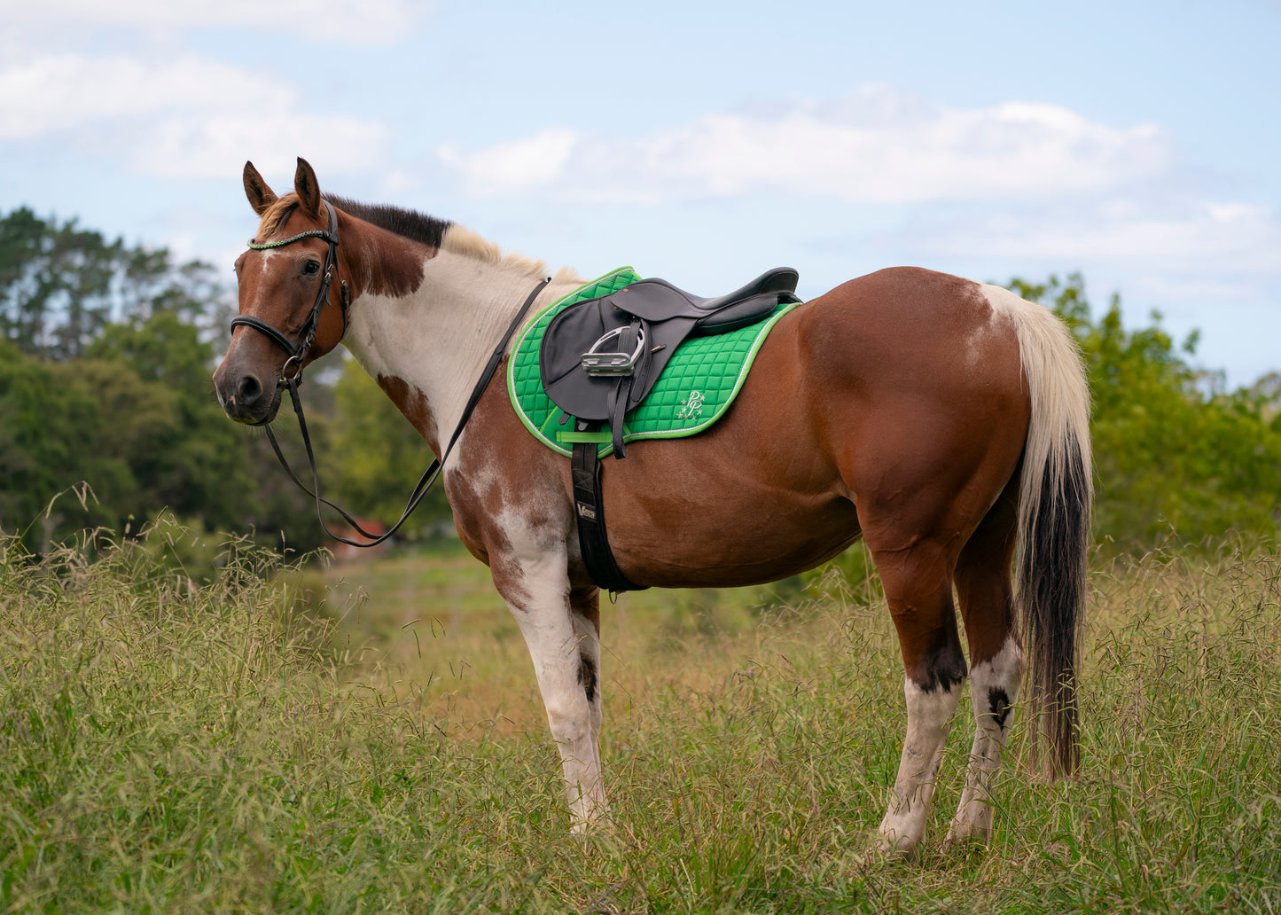 Lime Green Saddle Pads - Jump, GP, and Dressage cuts