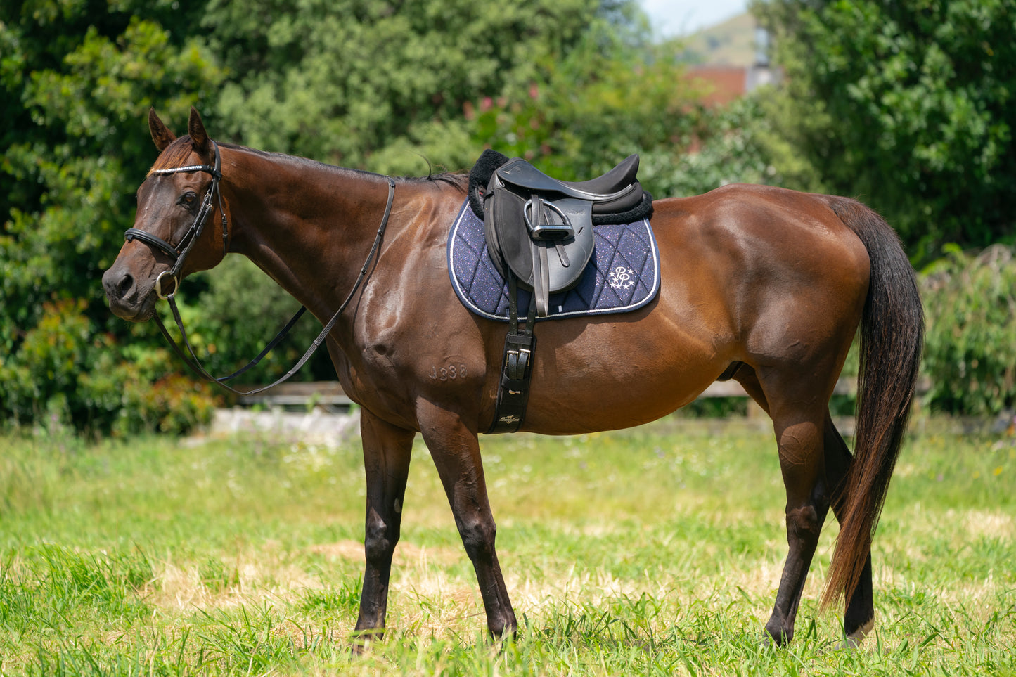Navy Glitter GP Saddle Pad