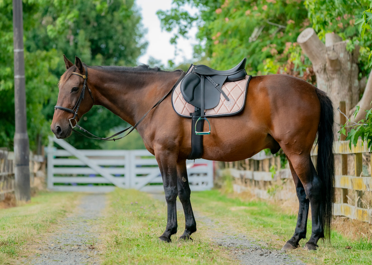 Rose Gold Glitter GP Saddle Pad