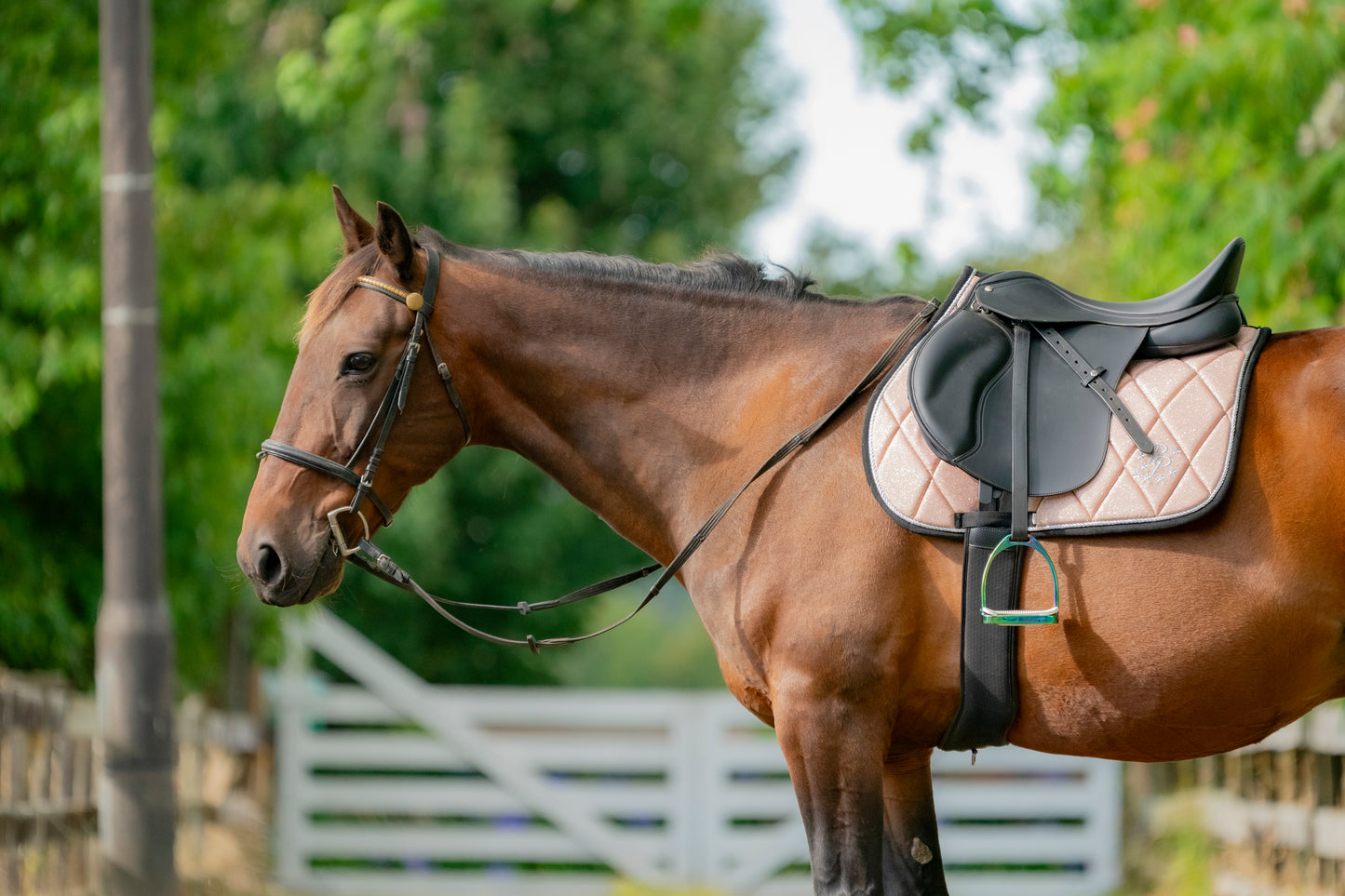 Rose Gold Glitter GP Saddle Pad