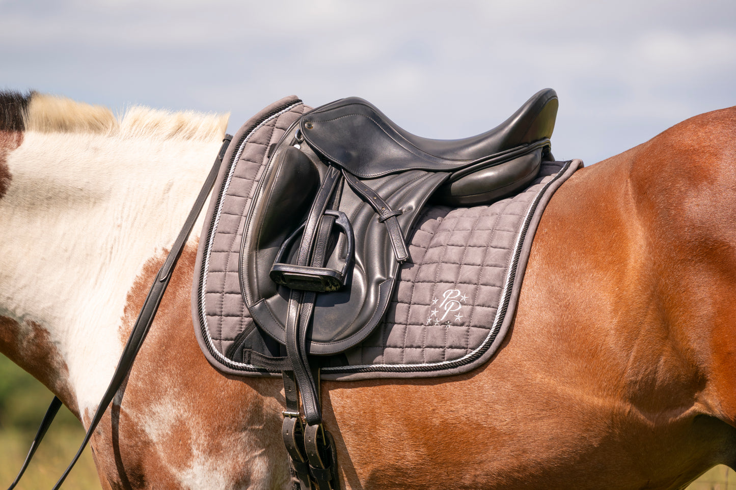 "Sake" Grey Suede Dressage Pad
