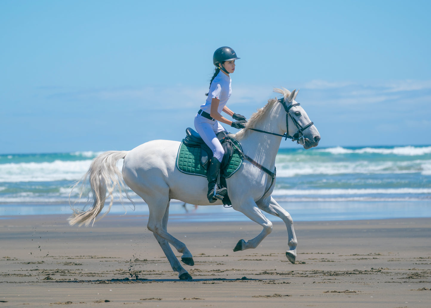 Hunter Green Saddle Pads - Jump, GP, and Dressage cuts