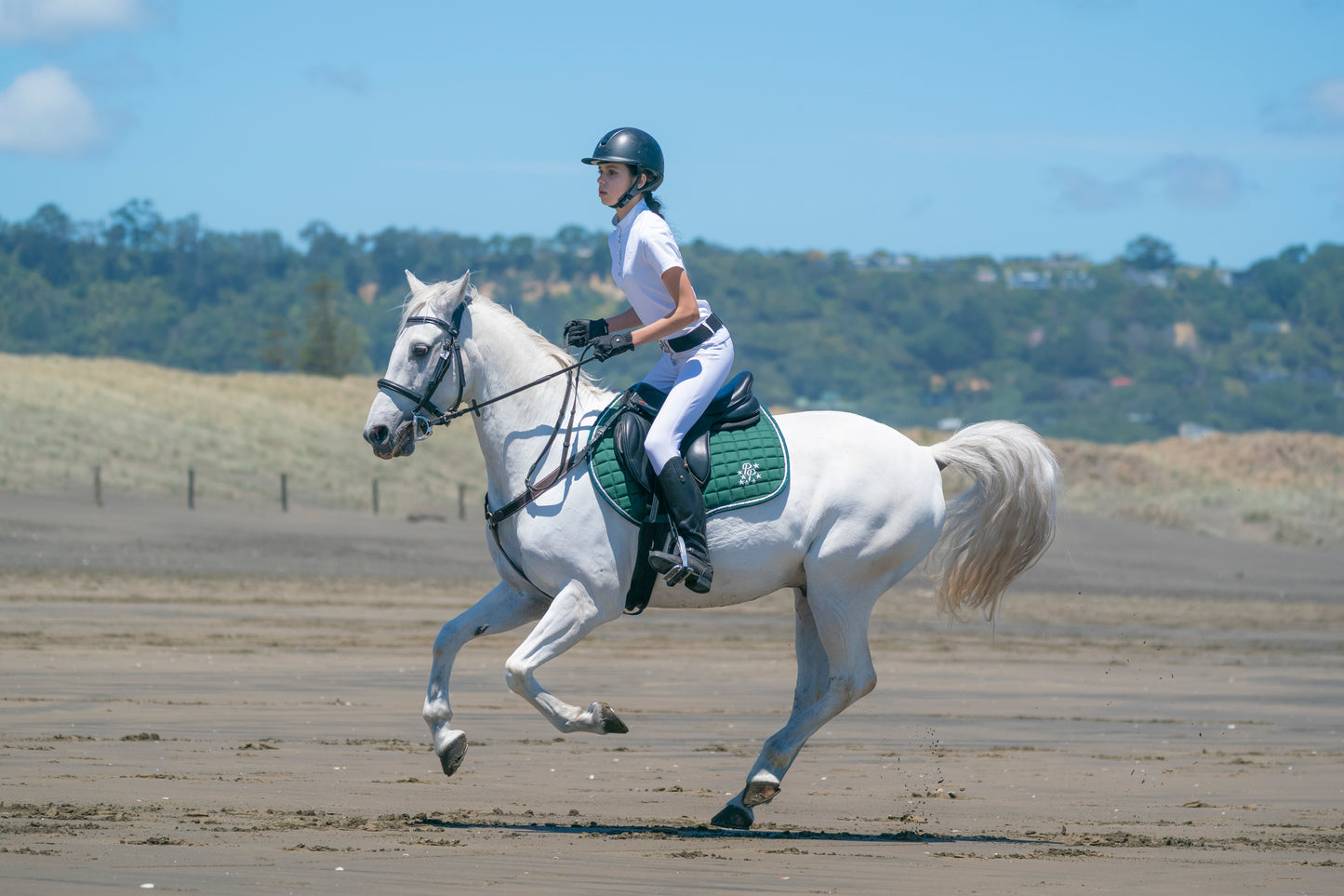 Hunter Green Saddle Pads - Jump, GP, and Dressage cuts