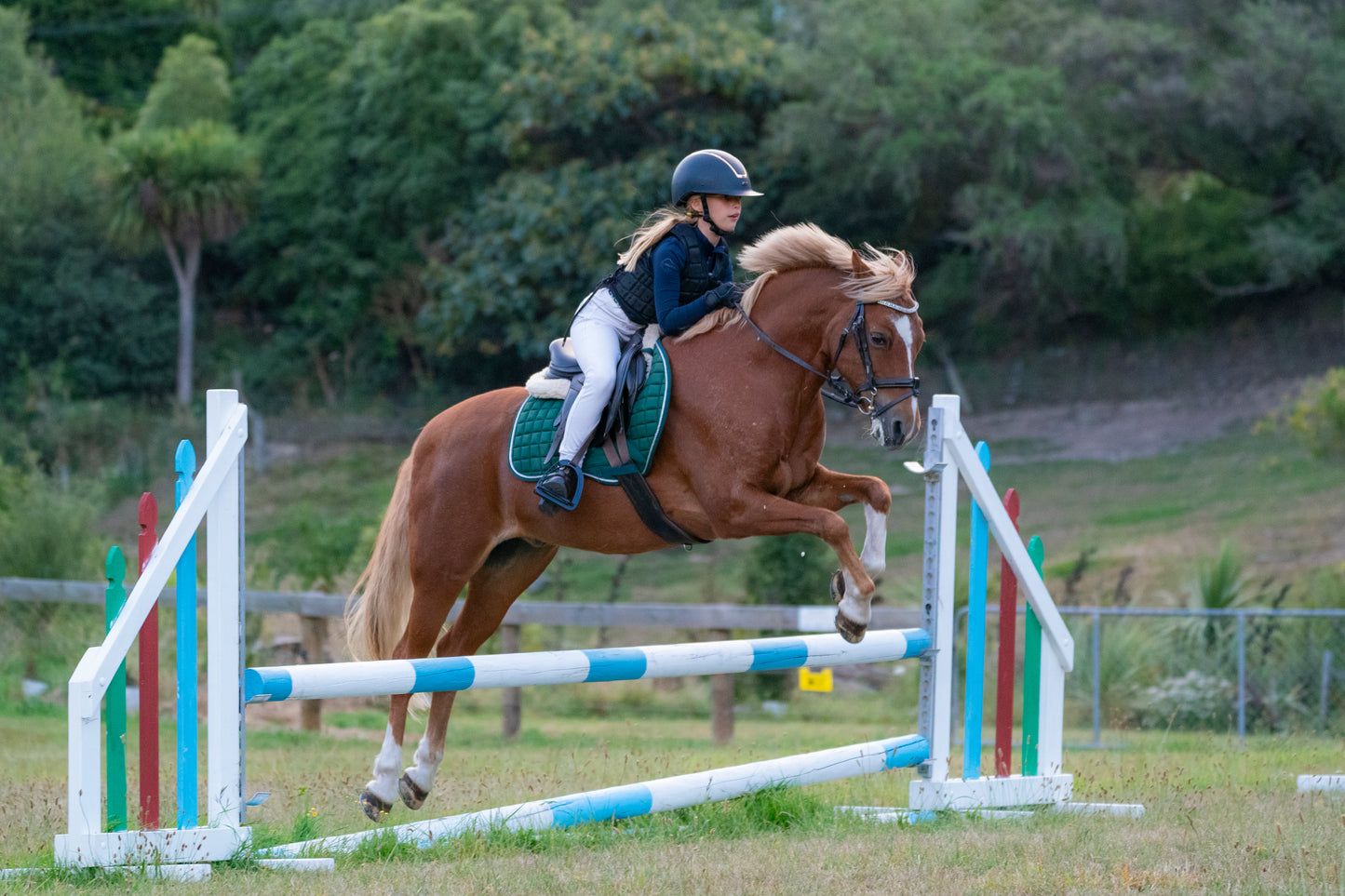 Hunter Green Saddle Pads - Jump, GP, and Dressage cuts
