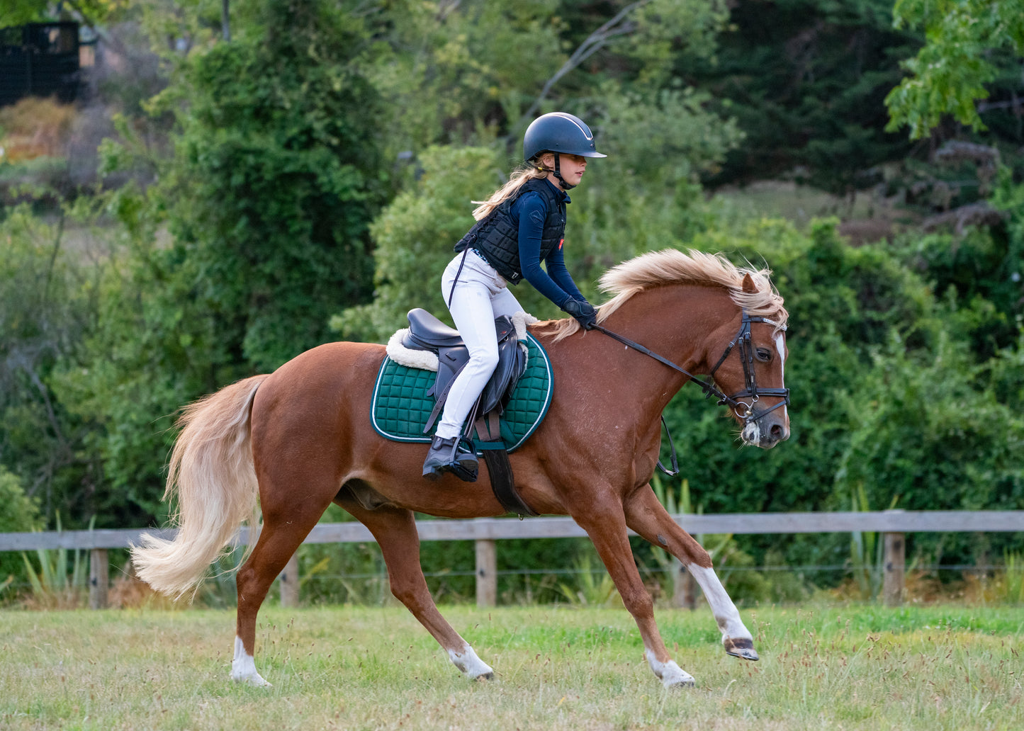 Hunter Green Saddle Pads - Jump, GP, and Dressage cuts
