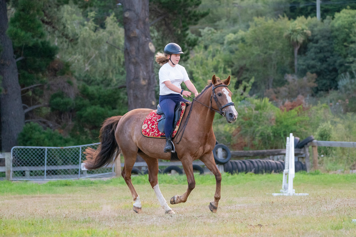 Red Jacquard Saddle Pads - Jump and Dressage cuts
