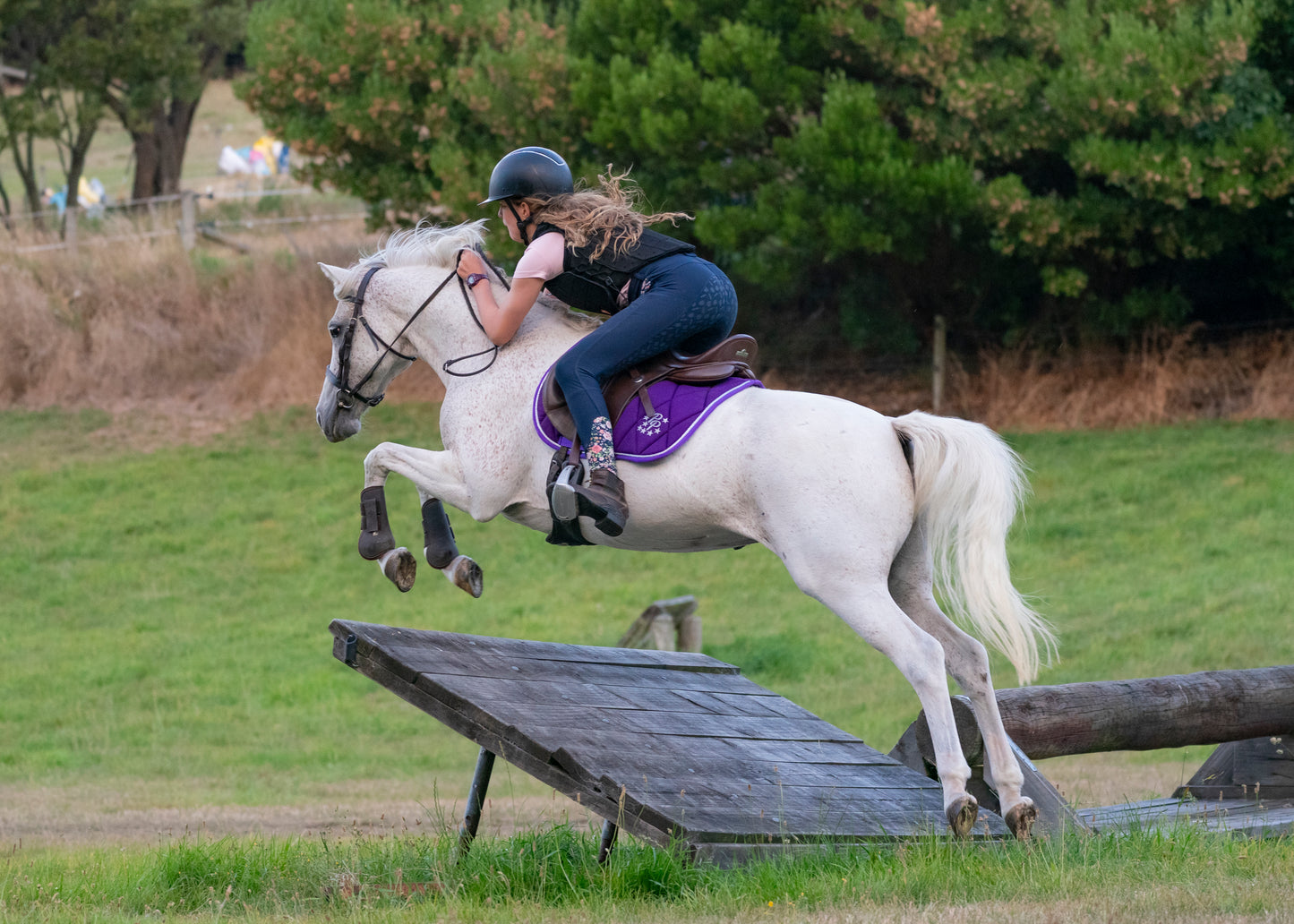 Amethyst Purple Saddle Pads - Jump, GP, and Dressage cuts