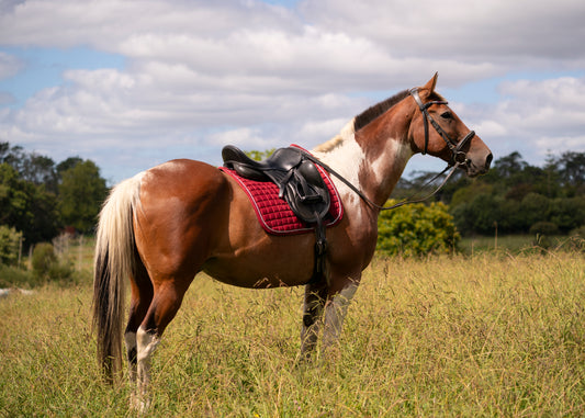 "Merlot" Burgundy Suede Dressage Pad