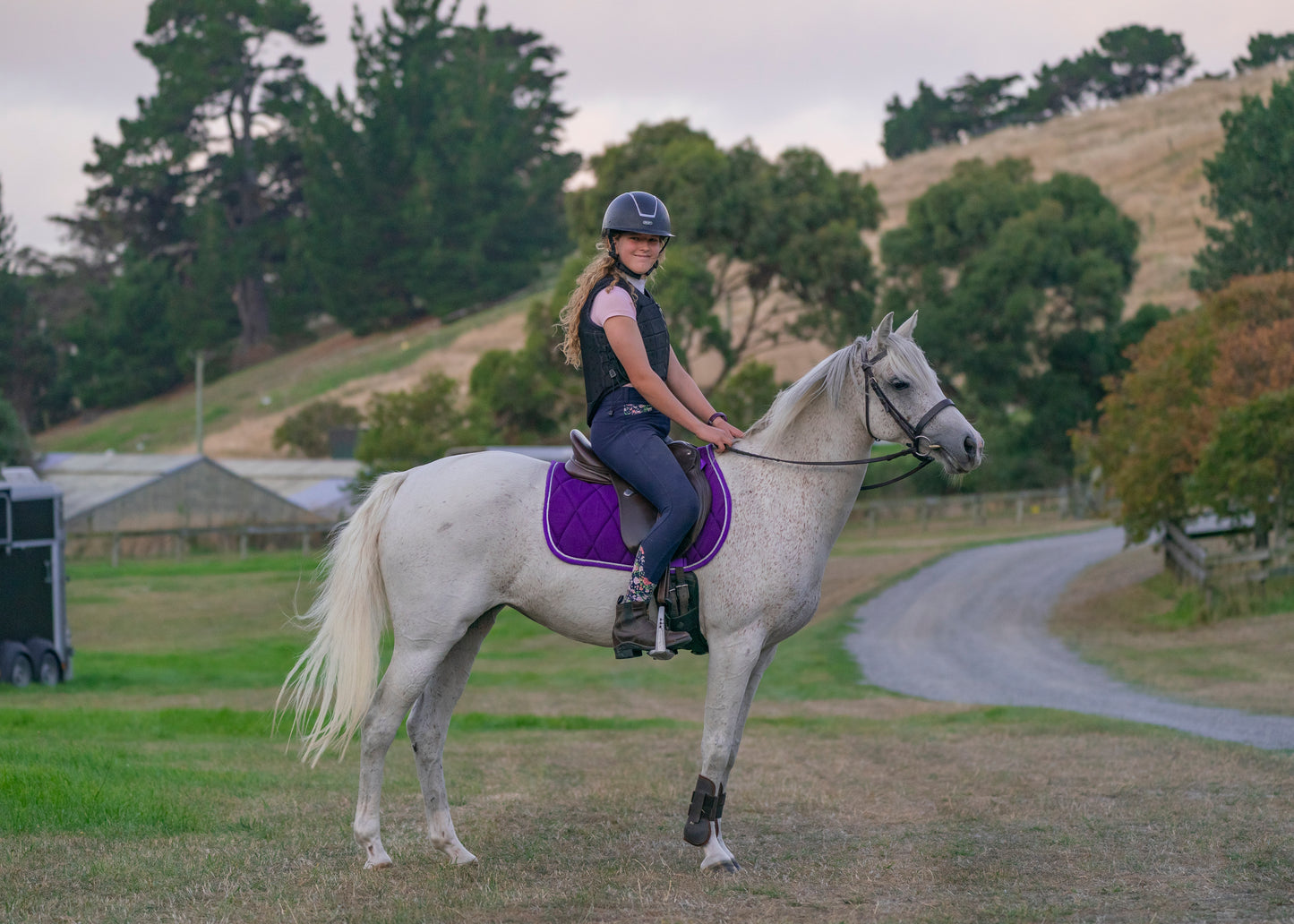 Amethyst Purple Saddle Pads - Jump, GP, and Dressage cuts
