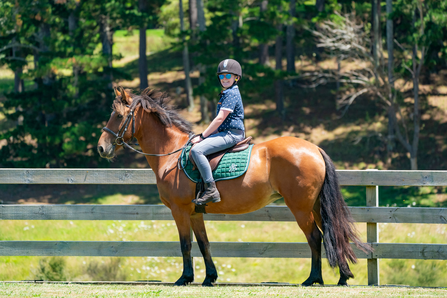 Hunter Green Saddle Pads - Jump, GP, and Dressage cuts