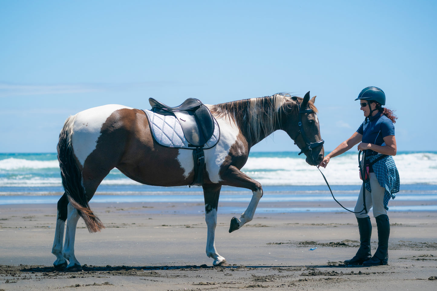 Silver Glitter Saddle Pads - Jump, GP, and Dressage cuts