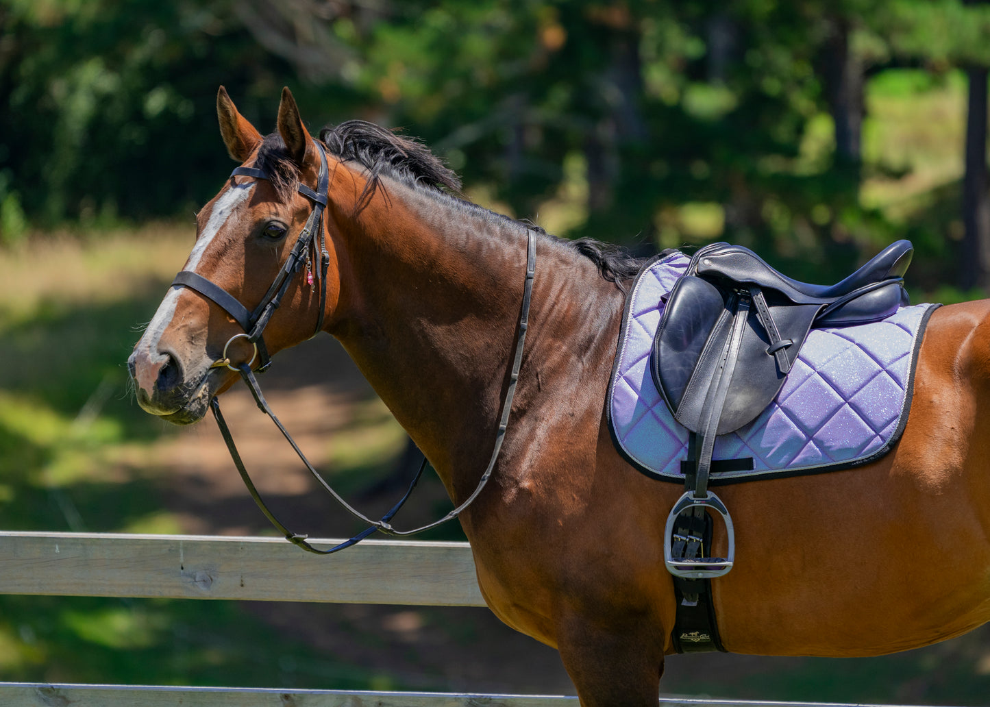 Mermaid Glitter Saddle Pads - Jump, GP, and Dressage cuts