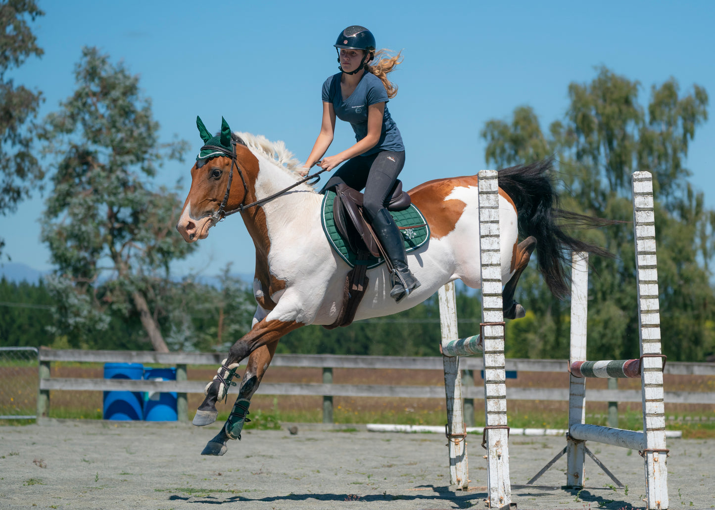 Hunter Green Saddle Pads - Jump, GP, and Dressage cuts