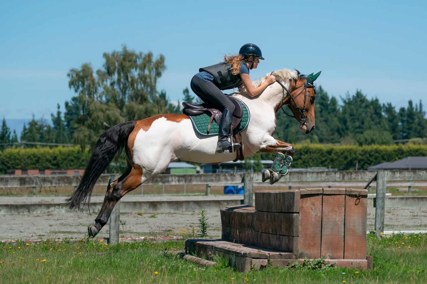 Hunter Green Saddle Pads - Jump, GP, and Dressage cuts