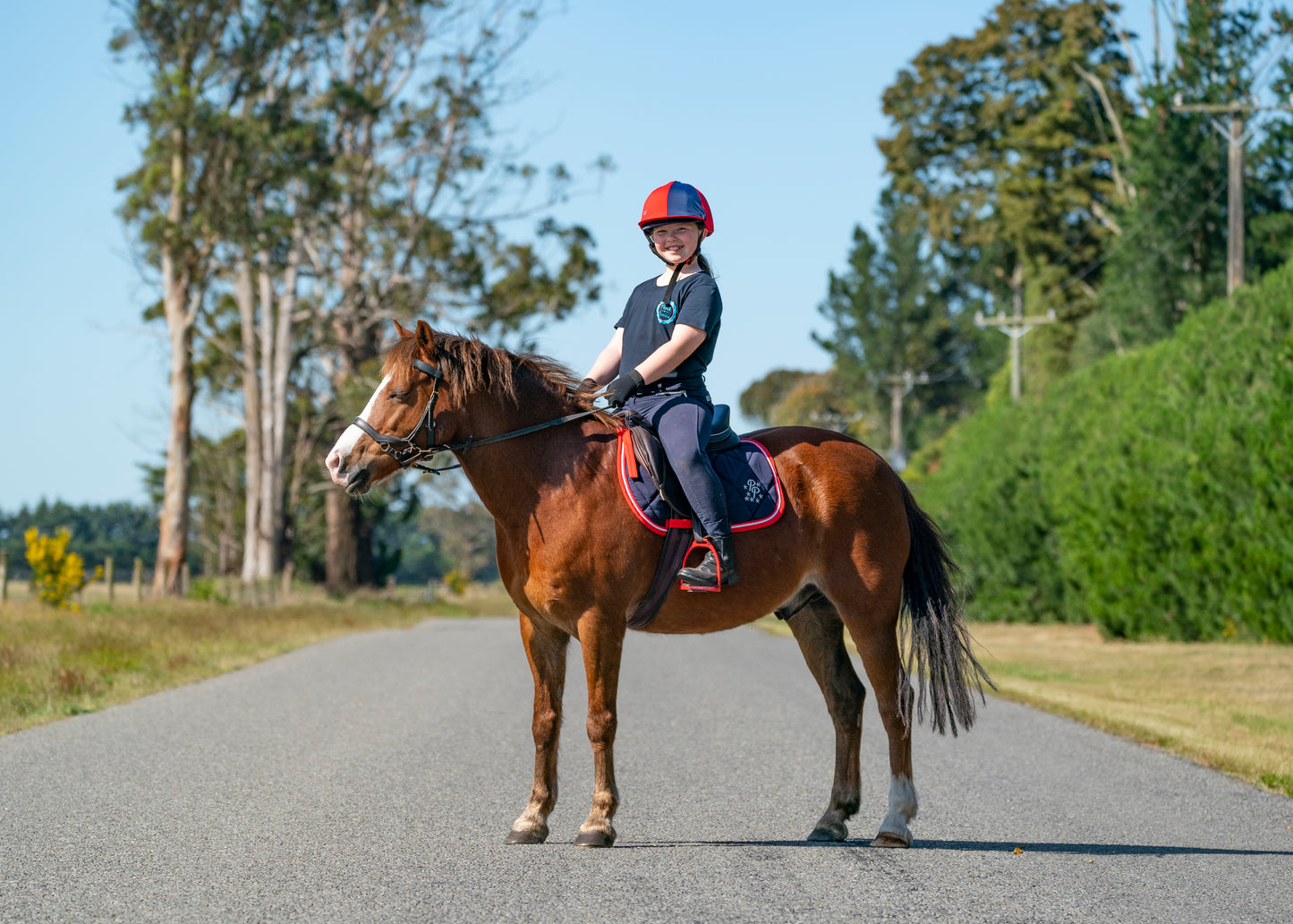 Navy/Red/White Saddle Pads - Jump, GP, and Dressage cuts