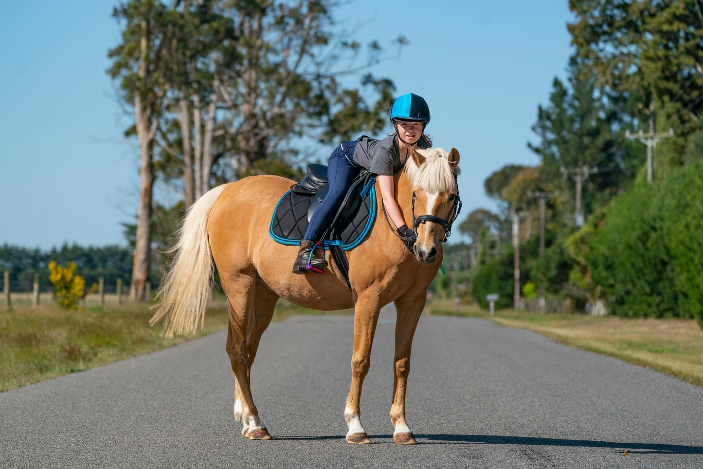 Black/Turquoise Saddle Pads - Jump, GP, and Dressage cuts