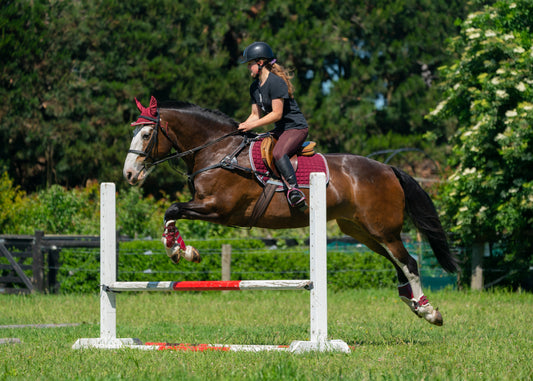 Burgundy/Grey Jump Set