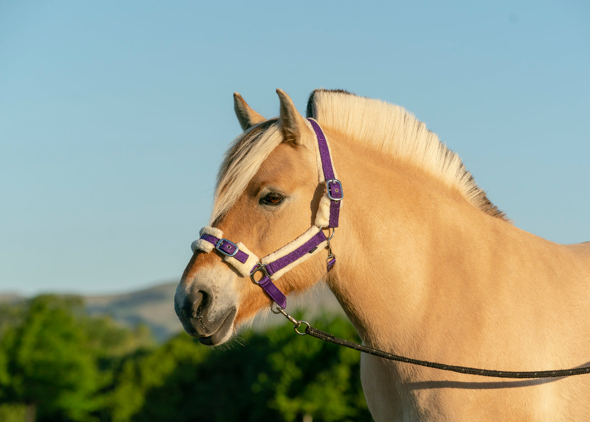 Glitter and Camo Fleece Halters Punk Ponies