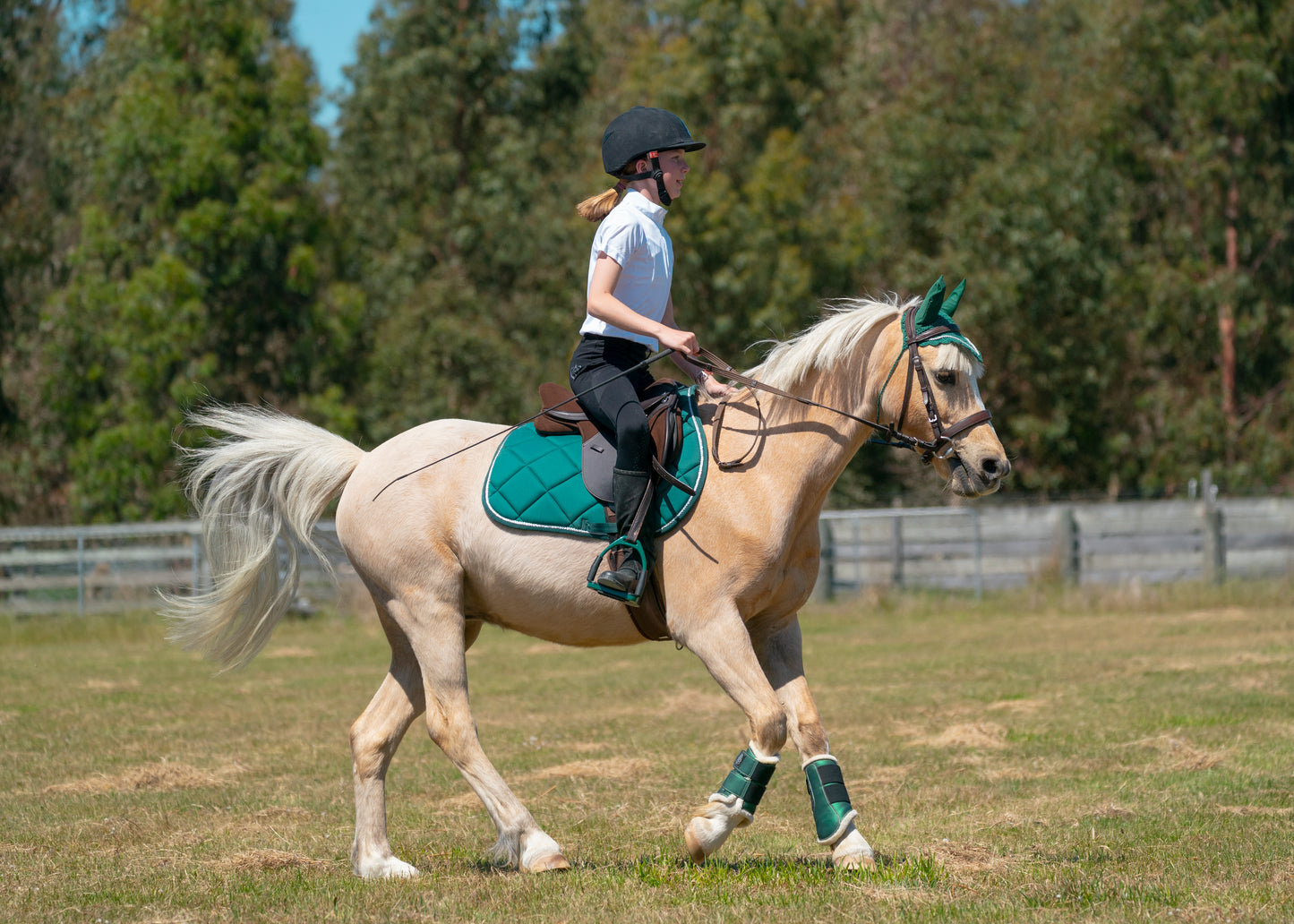 Hunter Green Saddle Pads - Jump, GP, and Dressage cuts