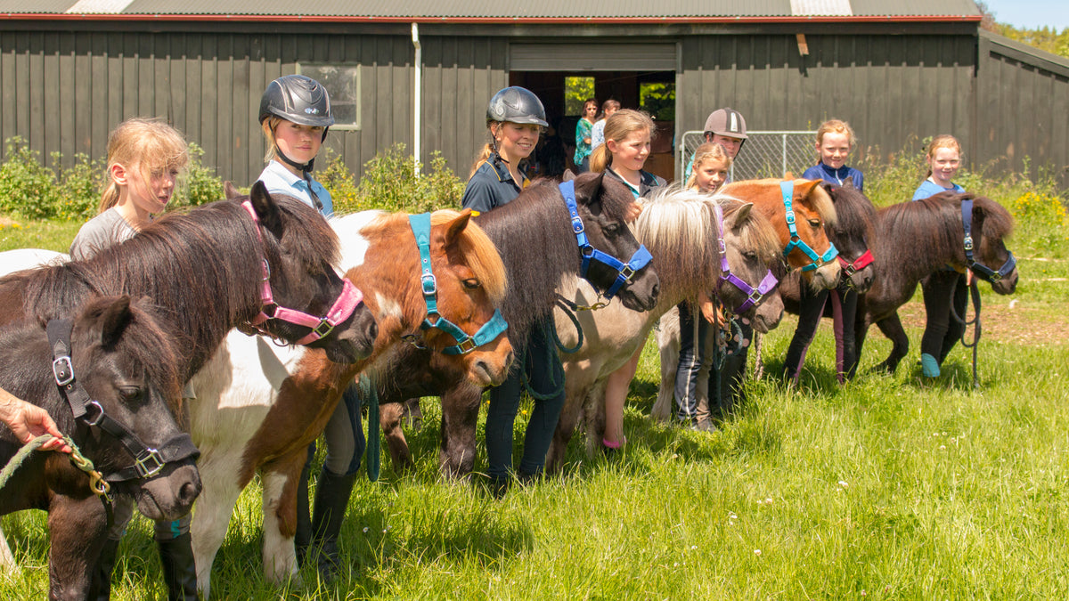 Signature Fleece Halters