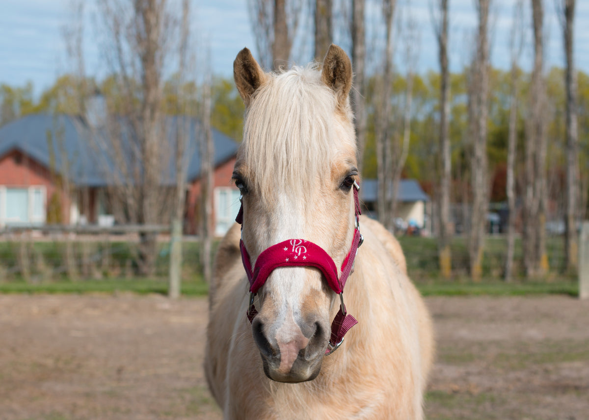Signature Fleece Halters