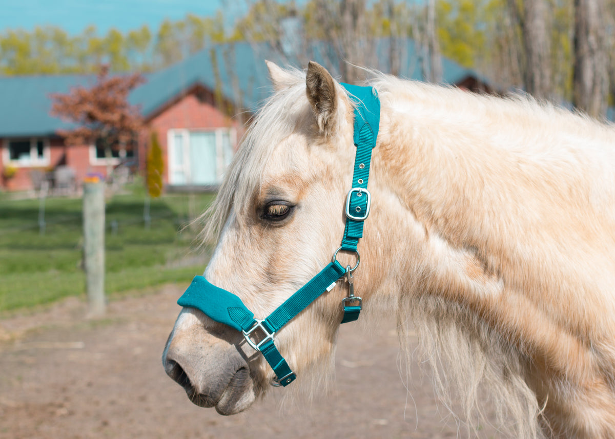 Signature Fleece Halters