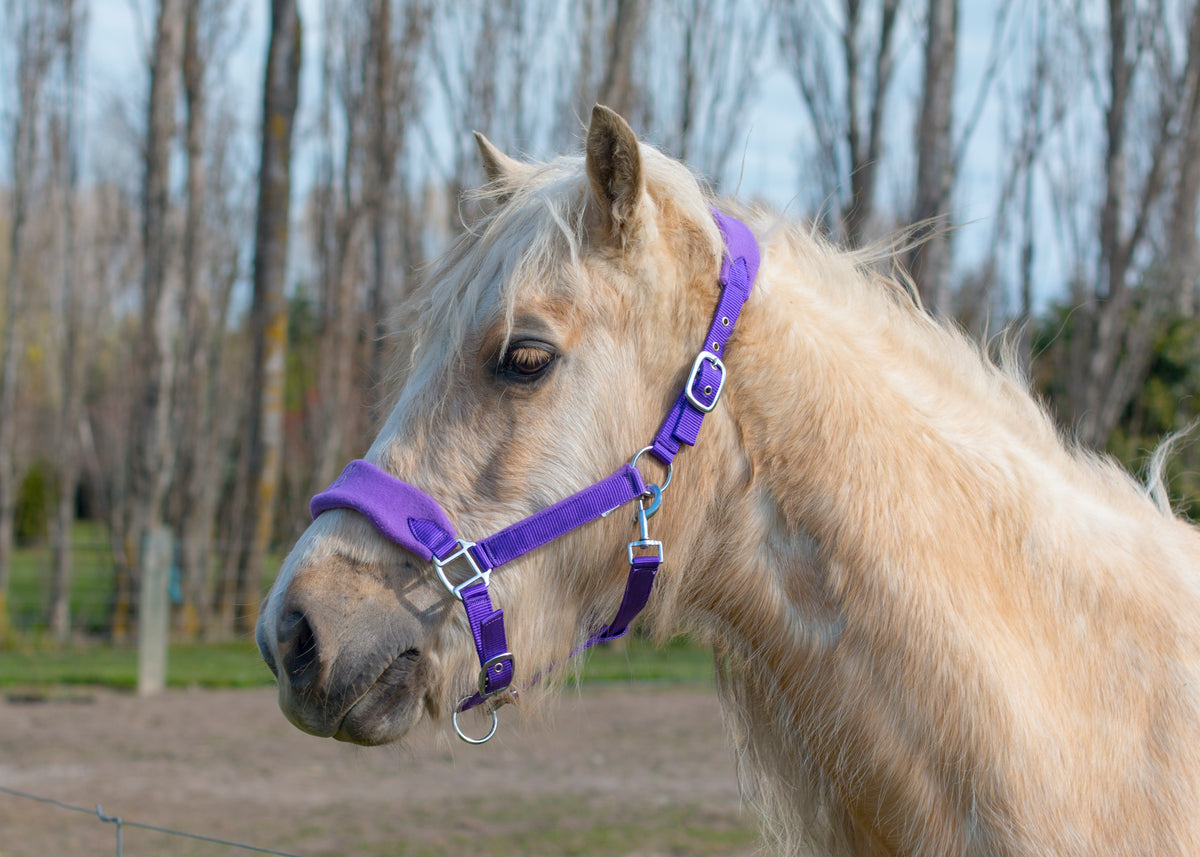 Signature Fleece Halters
