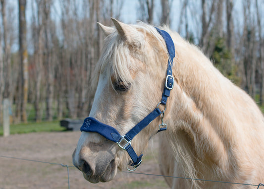 Signature Fleece Halters
