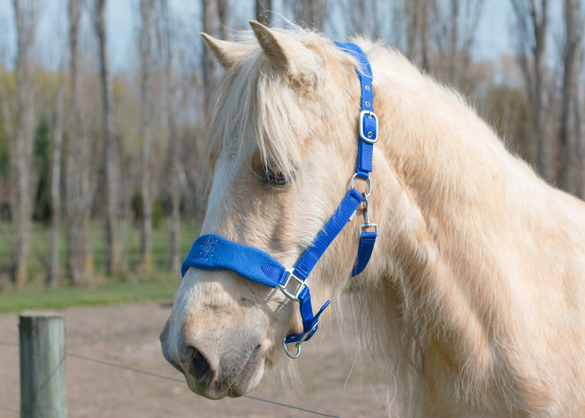Signature Fleece Halters