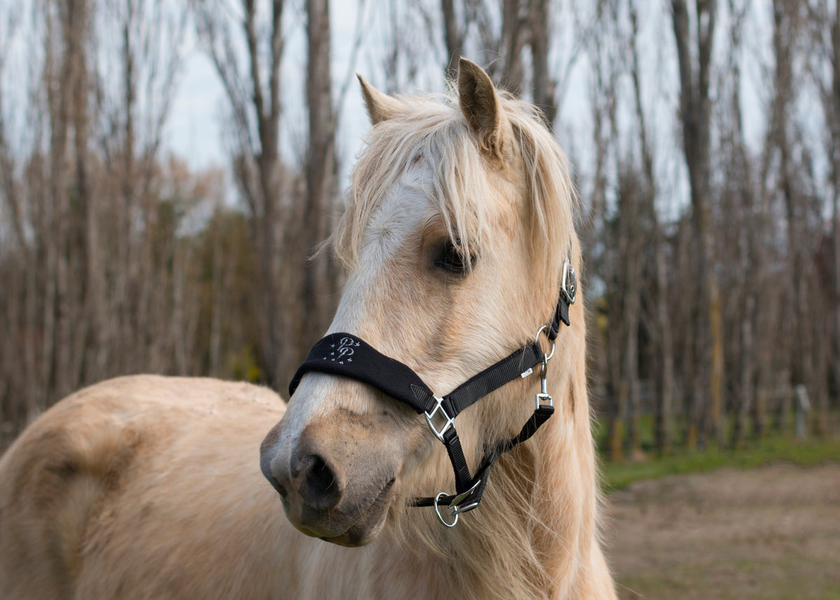 Signature Fleece Halters