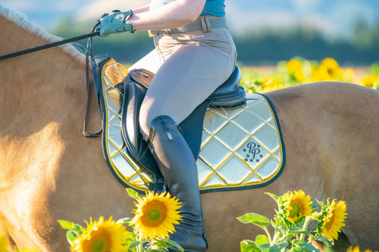 Which Colours Look Best on a Palomino?