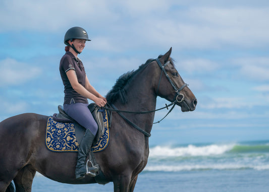 Which Colours Look Best on a Dark Bay or Black Horse?