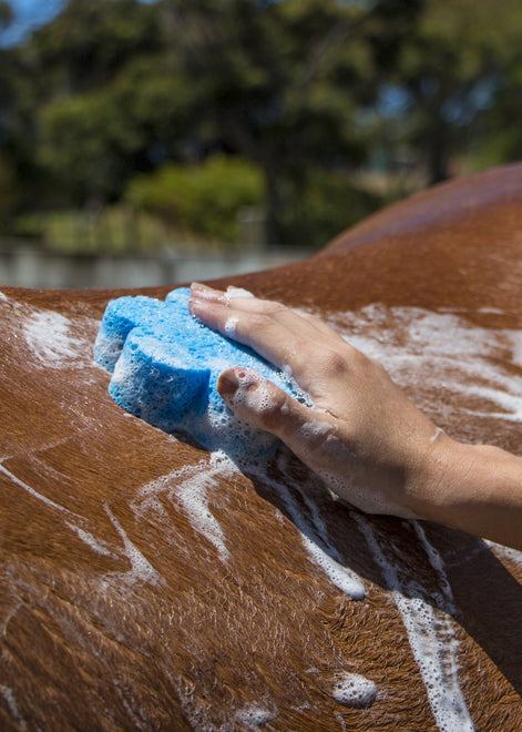 Grooming Products