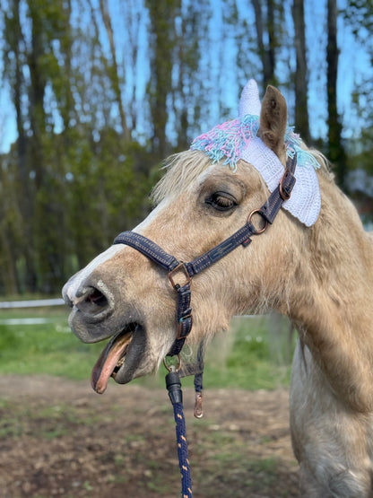 Horse Hats (yes these really are hats for horses)