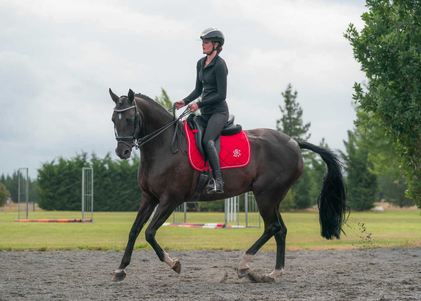 Cherry Red Saddle Pads - Jump, GP, and Dressage cuts