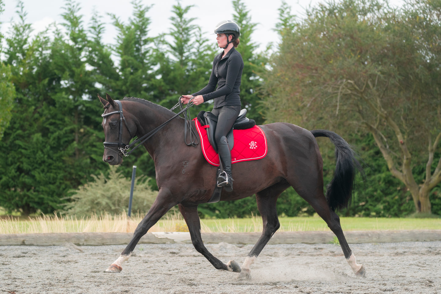 Cherry Red Saddle Pads - Jump, GP, and Dressage cuts